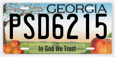 GA license plate PSD6215