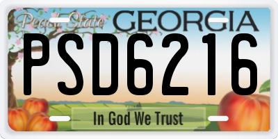 GA license plate PSD6216