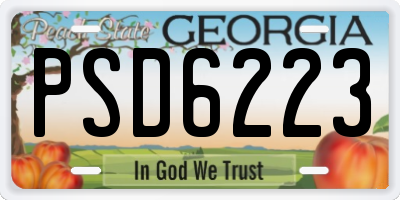 GA license plate PSD6223