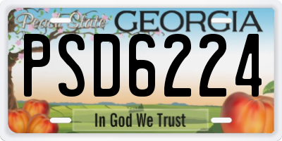 GA license plate PSD6224