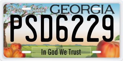 GA license plate PSD6229