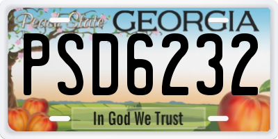 GA license plate PSD6232