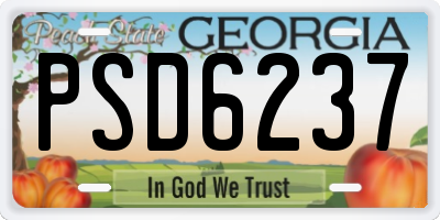 GA license plate PSD6237