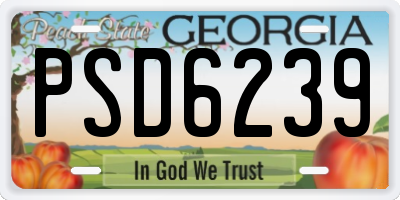 GA license plate PSD6239