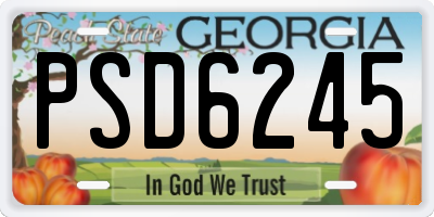 GA license plate PSD6245