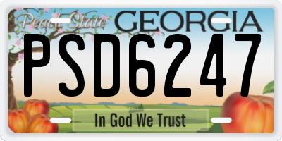 GA license plate PSD6247