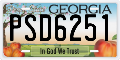 GA license plate PSD6251
