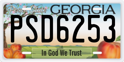 GA license plate PSD6253