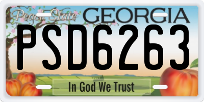 GA license plate PSD6263
