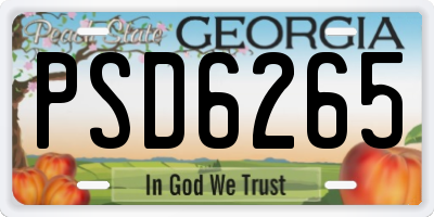 GA license plate PSD6265