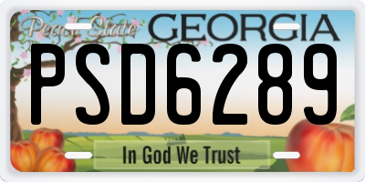 GA license plate PSD6289