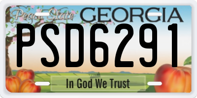 GA license plate PSD6291
