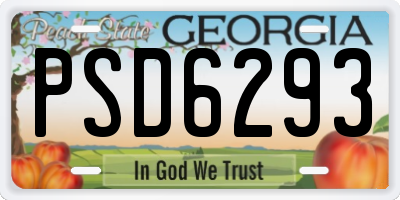 GA license plate PSD6293