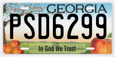 GA license plate PSD6299
