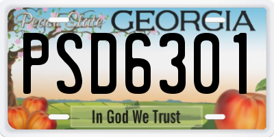 GA license plate PSD6301
