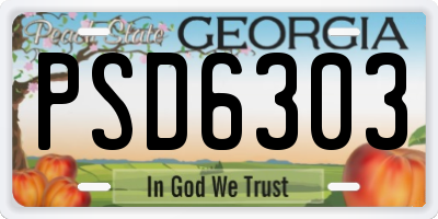 GA license plate PSD6303