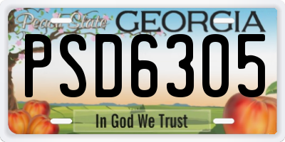GA license plate PSD6305