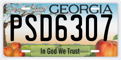 GA license plate PSD6307