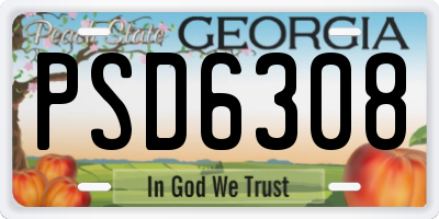 GA license plate PSD6308