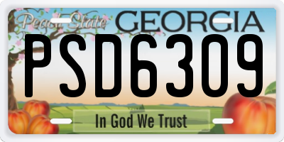 GA license plate PSD6309