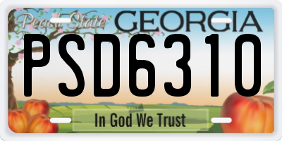 GA license plate PSD6310