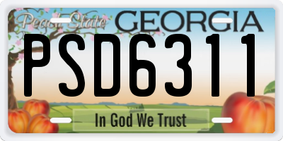 GA license plate PSD6311