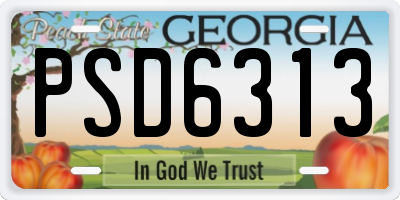 GA license plate PSD6313