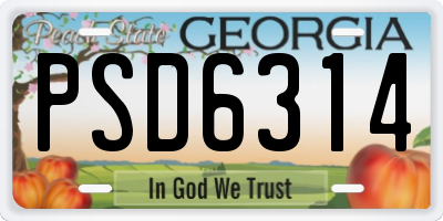 GA license plate PSD6314