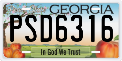 GA license plate PSD6316
