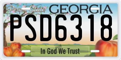 GA license plate PSD6318
