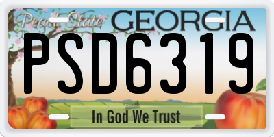 GA license plate PSD6319