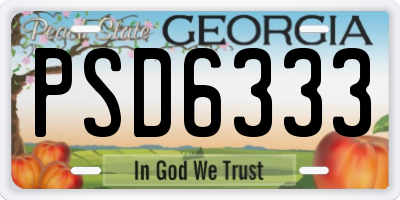 GA license plate PSD6333