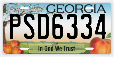 GA license plate PSD6334