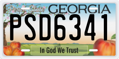 GA license plate PSD6341