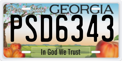 GA license plate PSD6343