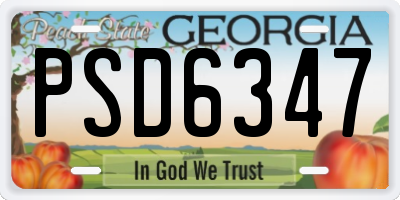 GA license plate PSD6347