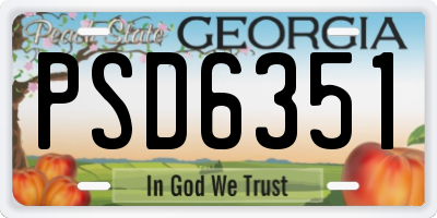 GA license plate PSD6351