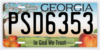GA license plate PSD6353