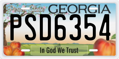 GA license plate PSD6354