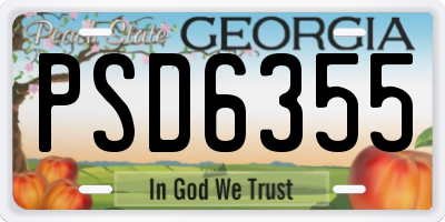 GA license plate PSD6355