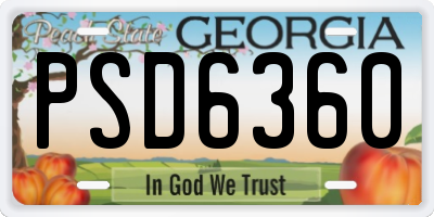 GA license plate PSD6360
