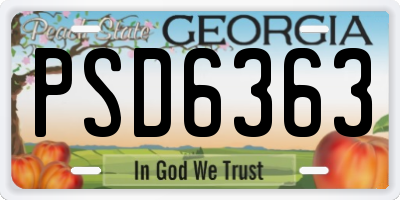 GA license plate PSD6363