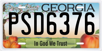 GA license plate PSD6376