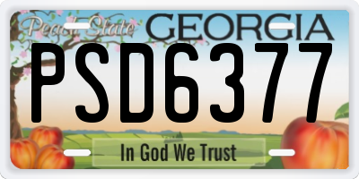 GA license plate PSD6377