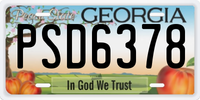 GA license plate PSD6378