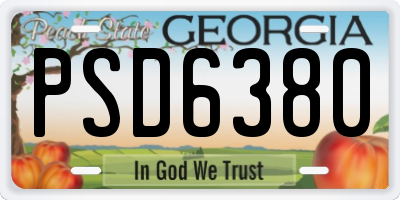 GA license plate PSD6380
