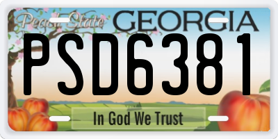 GA license plate PSD6381