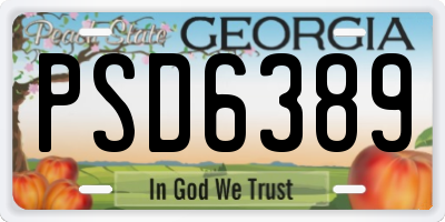GA license plate PSD6389
