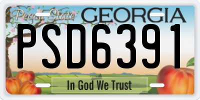 GA license plate PSD6391