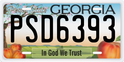 GA license plate PSD6393